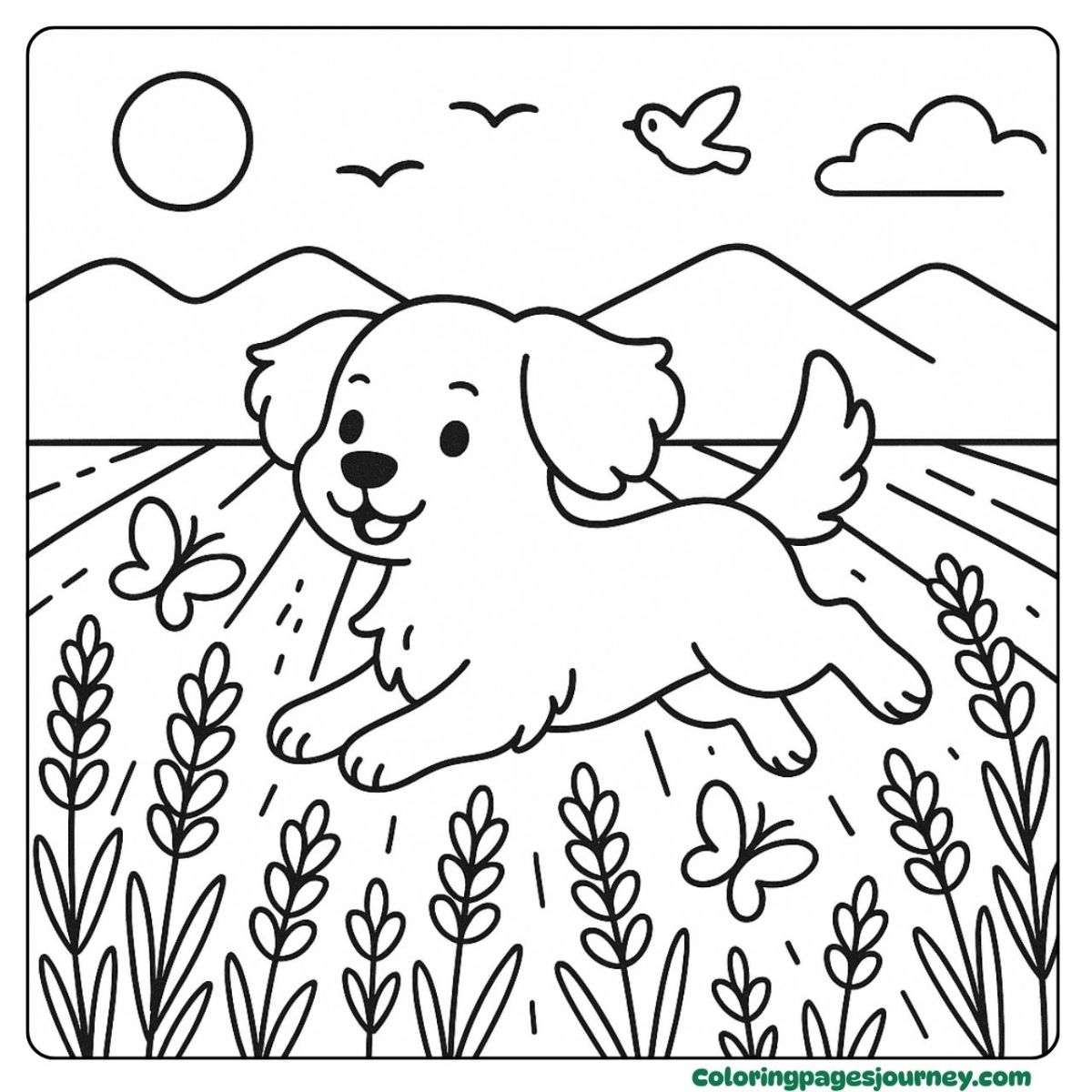 A Brittany Spaniel coloring page with a sunny meadow run A Brittany Spaniel coloring page running in a meadow