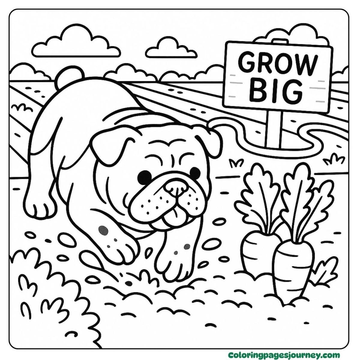 A Bulldog coloring page digging happily in a carrot field A Bulldog coloring page exploring the garden near carrots