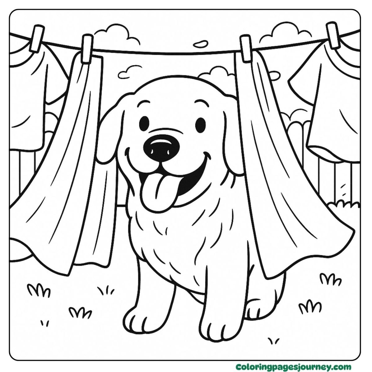 A Golden Retriever coloring page hiding in clean laundry A Golden Retriever coloring page playing with clothesline
