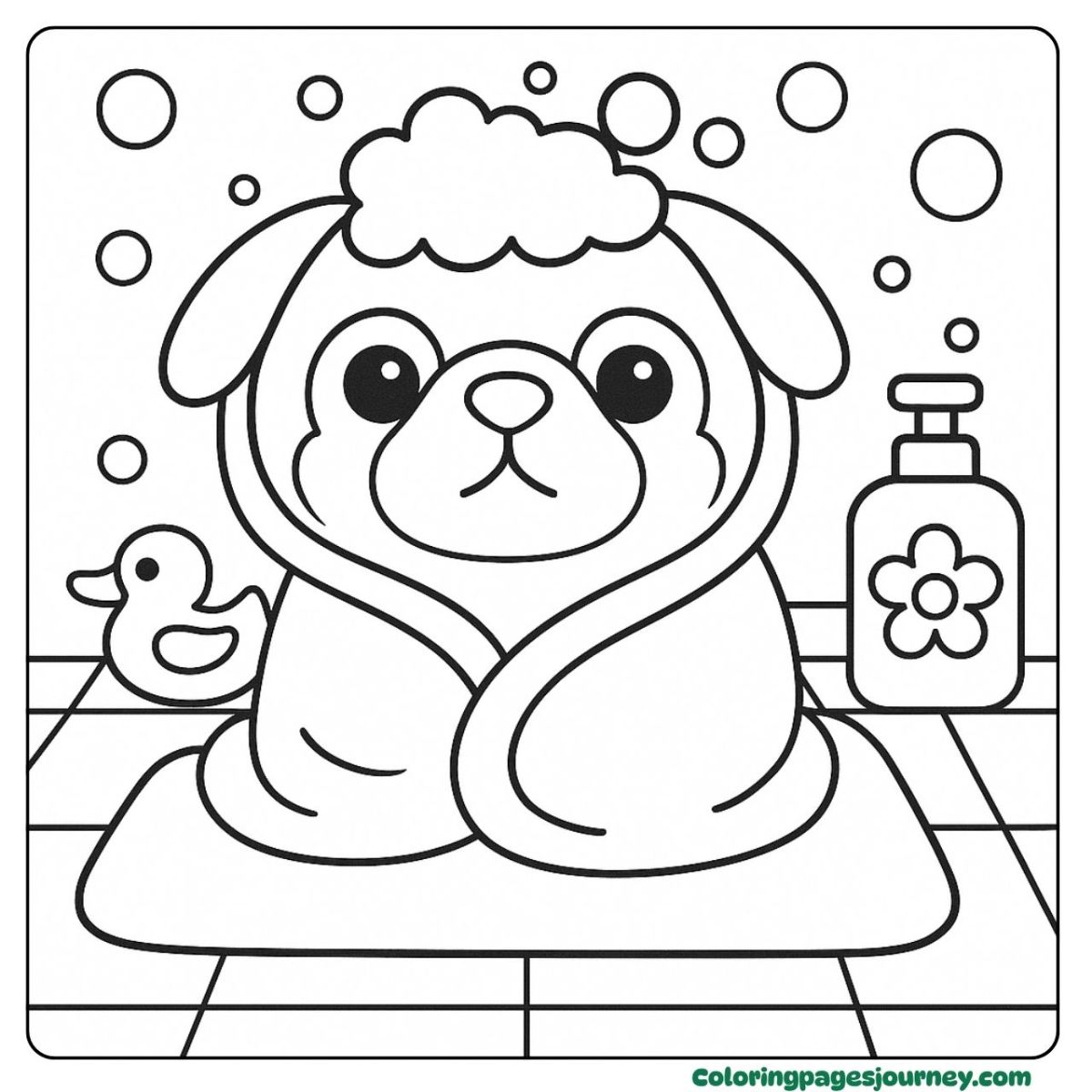 A pug coloring page wrapped in a towel after bubble bath A pug coloring page with pug wrapped after bath time
