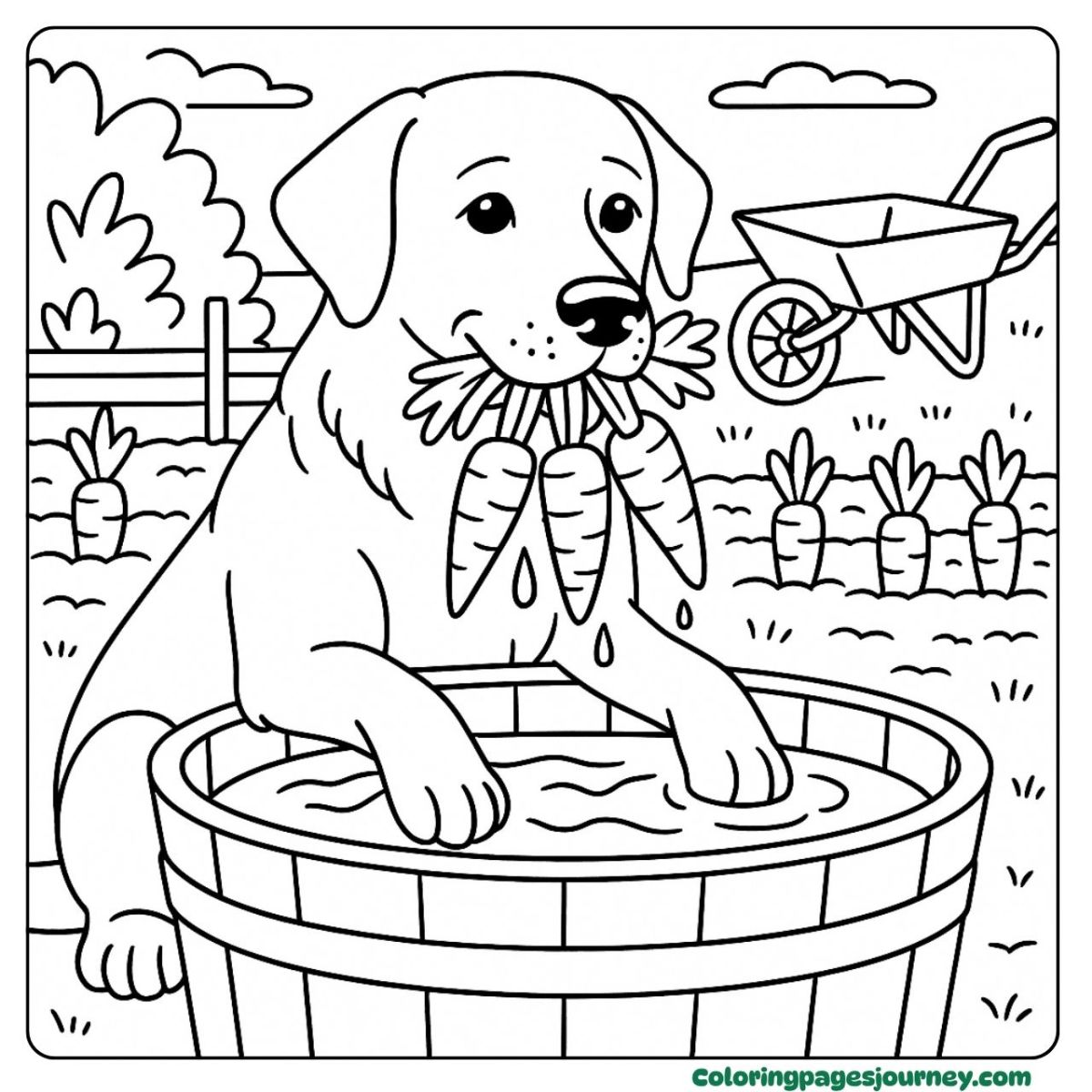 A realistic dog coloring page in a carrot farm A realistic dog coloring page with dog harvesting carrots