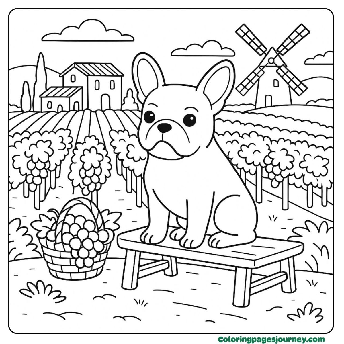 A realistic French Bulldog coloring page in a vineyard field A realistic French Bulldog coloring page sitting by grape rows