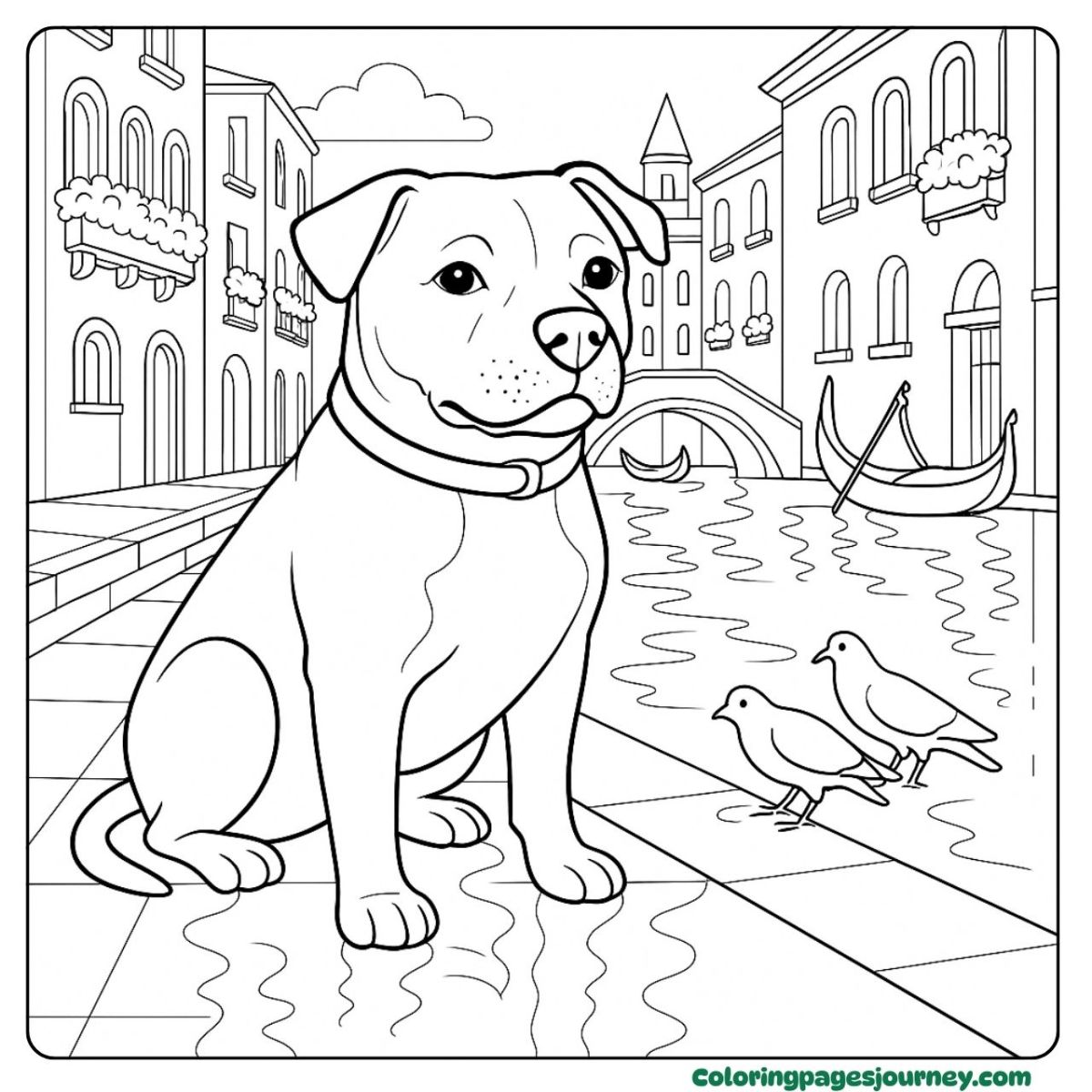A realistic Pitbull coloring page sitting by a Venice canal A realistic Pitbull coloring page near gondolas in Venice