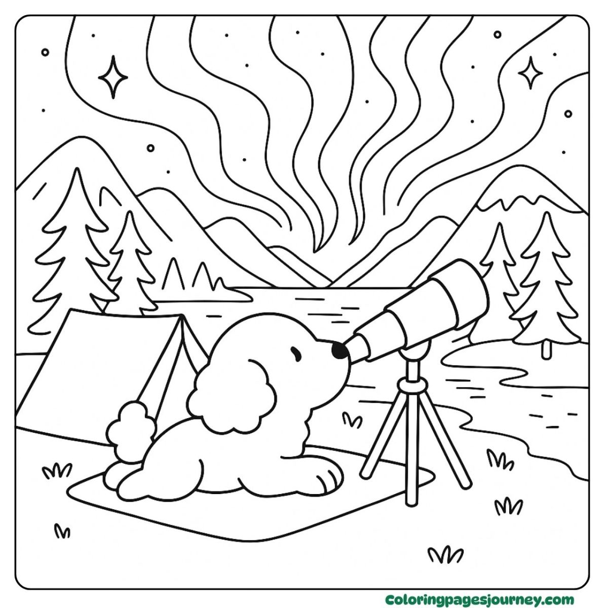 A Poodle coloring page under a starry mountain sky A Poodle coloring page watching stars by the lake