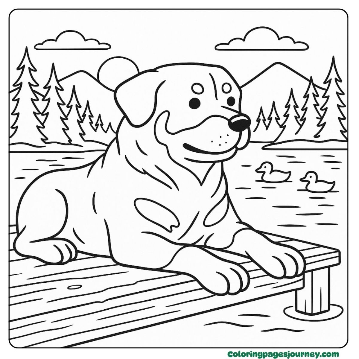 A realistic Rottweiler coloring page of exploring the forest A realistic Rottweiler coloring page shows a dog in pine woods