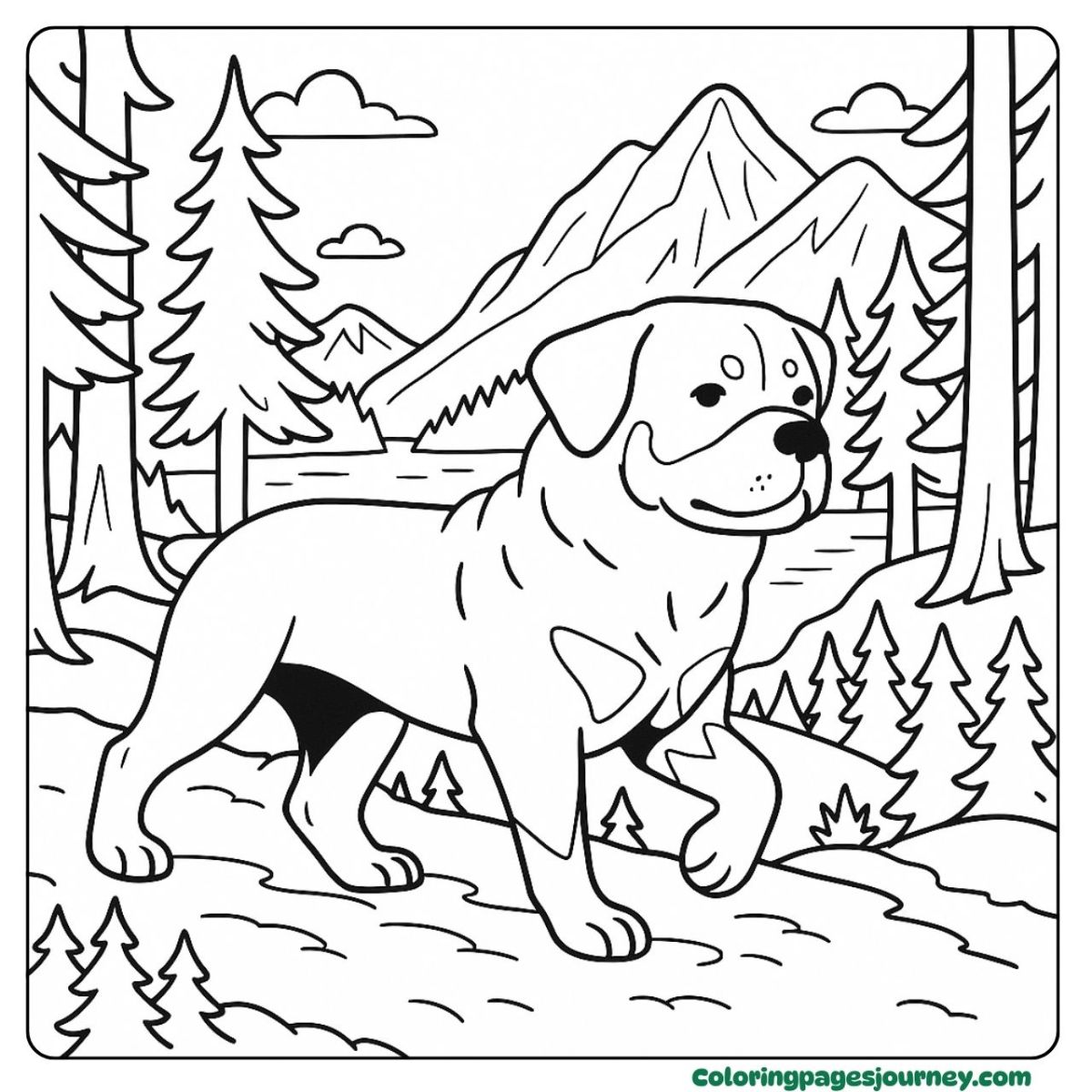 A realistic Rottweiler coloring page standing on a mountain cliff A realistic Rottweiler coloring page with a dog on the cliffs