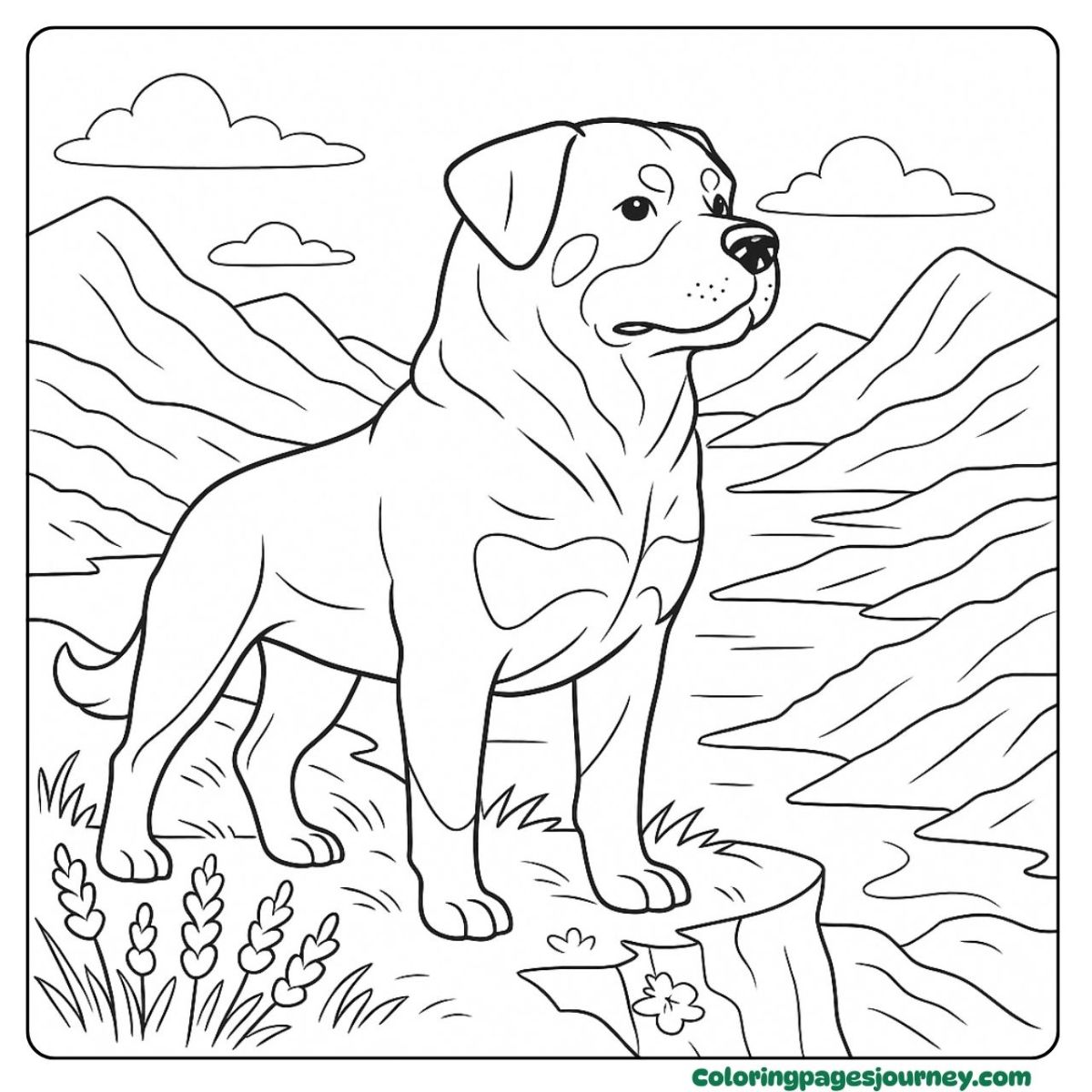 A realistic Rottweiler coloring page with a dog by the lake A realistic Rottweiler coloring page featuring a lakeside dog